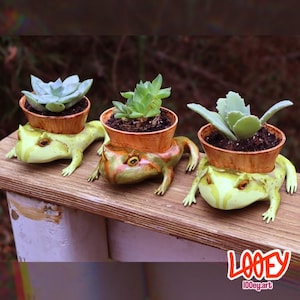 May include: Three frog-shaped planters, each holding a small succulent in a brown pot. The frogs are painted in shades of green and brown, with detailed eyes. The planters sit on a wooden surface.