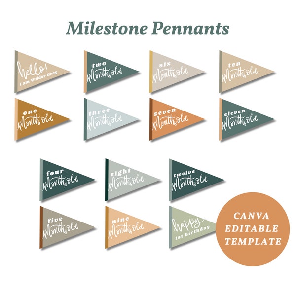 Month Pennant, Milestone Pennant, Milestone Cards, Baby's First Year Cards, Announcement Pennant, Birthday Pennant