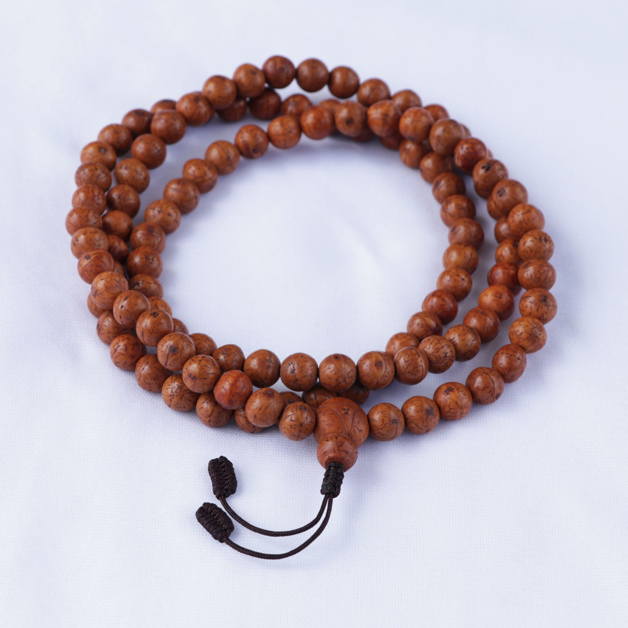 14 Beads Phoenix Eye Bodhi Seed Genuine Indonesian Buddha Chitta