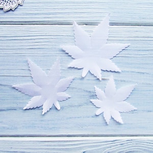 May include: Three white paper maple leaves of different sizes on a light blue wooden background.