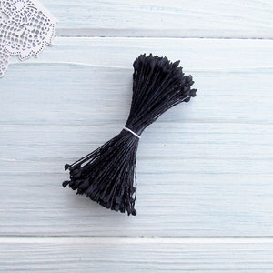 May include: A bunch of black stamens for floral craft projects. The stamens are tied together with a black string.