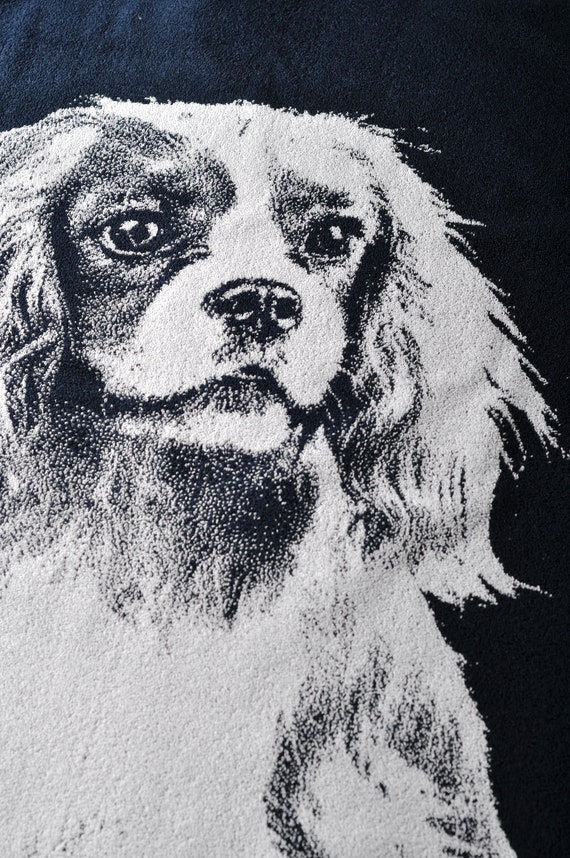 Serviette Déco Salle De Bain Cuisine EgoMed Serviette 30 X 70 Cm, Serviette à Main, Serviettes De Bain Douces Pour Cuisine, Hôtel, Salle De Sport, Buanderie, Cocker Spaniel Brown Spaniel Sad Dogs