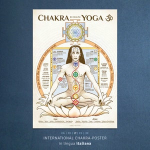 May include: A colorful illustration of a person sitting in a lotus position with seven chakras, or energy centers, depicted along the spine. The chakras are represented by different colors and symbols. The illustration is surrounded by text in Italian, including the words "Chakra Yoga" and "International Chakra-Poster".