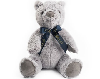 recordable teddy bear target