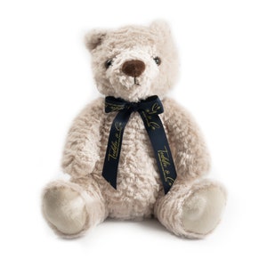 20 Second Re-recordable Plush Teddy Bear