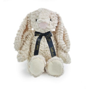 20 Second Re-recordable Plush Bunny Teddy Bear