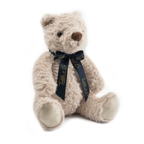 recordable plush
