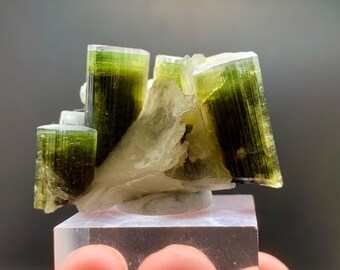 Cristal de turmalina verde com mica, exemplar de 24 gramas.