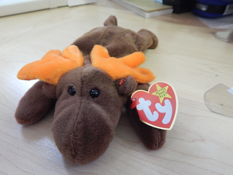 Ty Beanie Baby Chocolate the Moose, Brown Moose, Retired Ty Beanie
