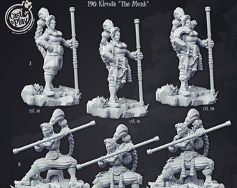 Monk Hero miniature - CastnPlay - DnD miniatures - Role Playing Game - Tabletop Miniature - dungeons and dragons - D&D