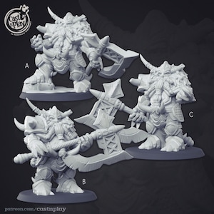Dwarven warlord miniatures - CastnPlay - DnD miniatures - Role Playing Game - Tabletop Miniature - dungeons and dragons - D&D