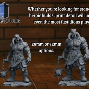 Nightmare miniature | Fantasy Miniature | DnD miniatures | DND | Tabletop Game | RPG | Pathfinder | MEGS3D | D&D image 4