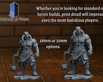 Figurine Crapaud Géant Métamorphe Pour JDR - D&D 5e, Pathfinder - Collective Studios - Neuf