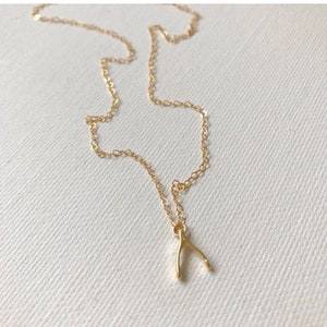Gold Wishbone Charm Necklace
