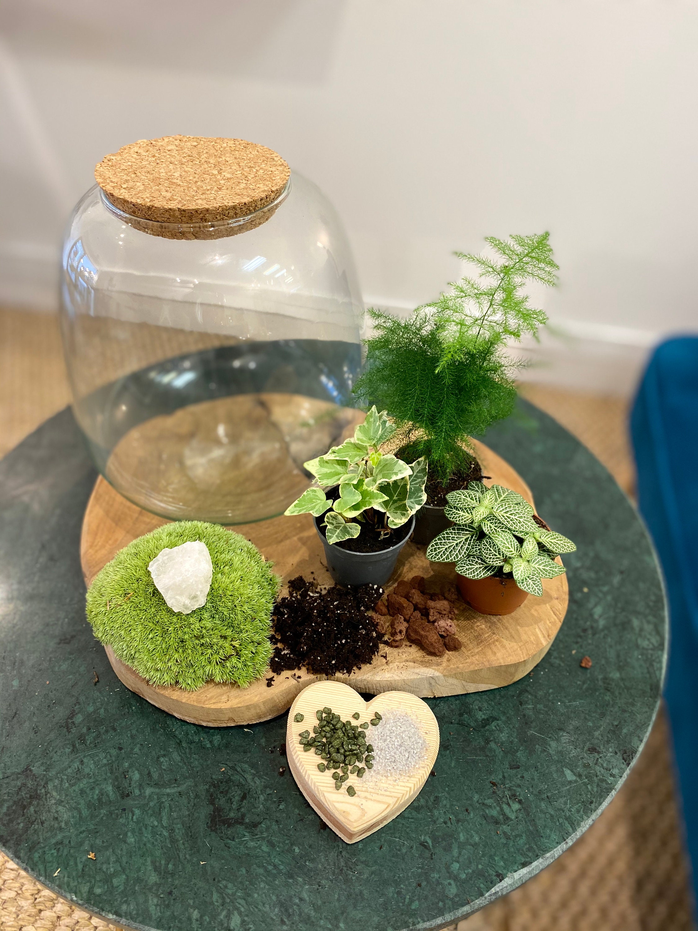 Kit Terrarium Sharing Is Caring