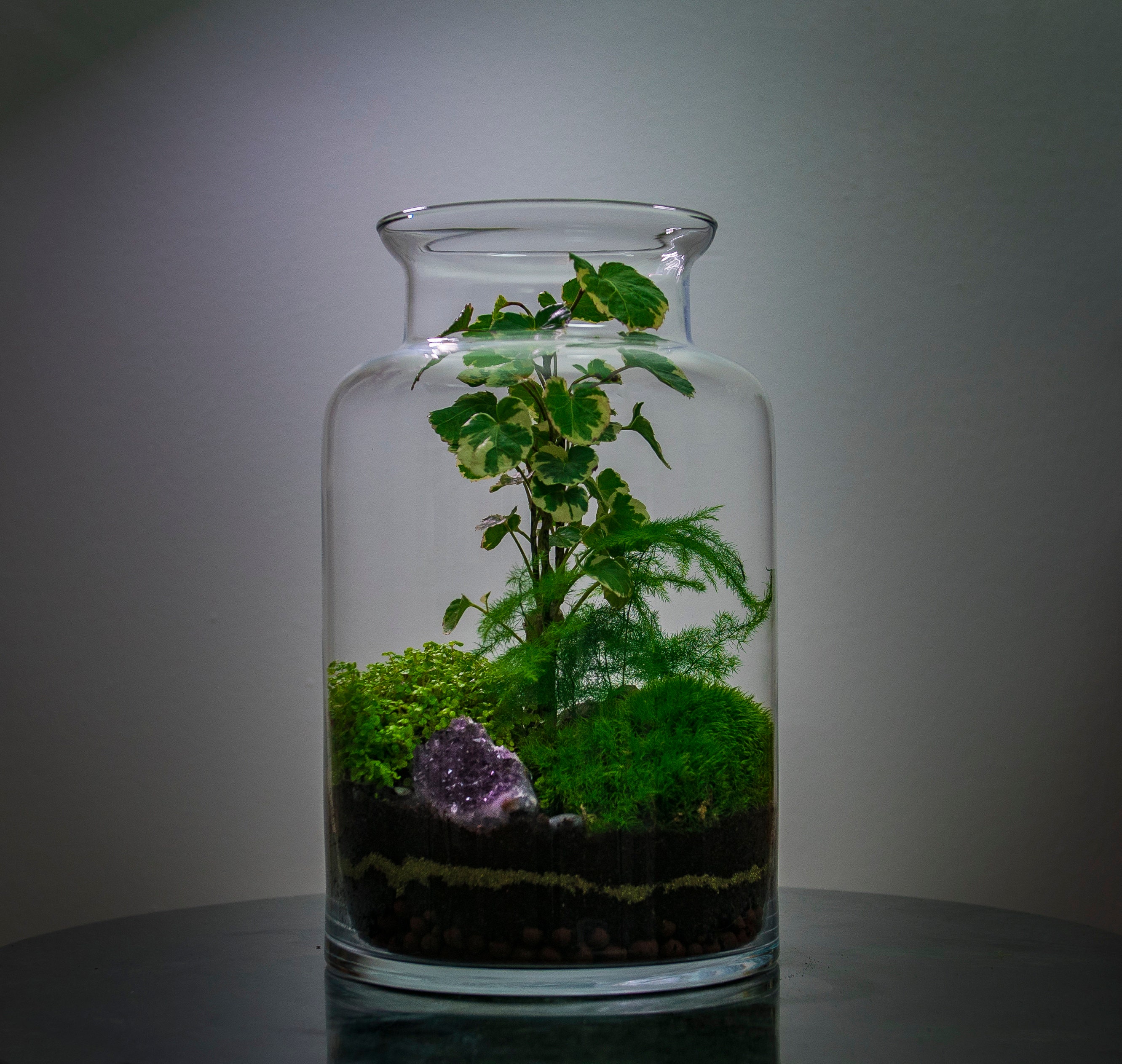 Kit Terrarium Be Grateful