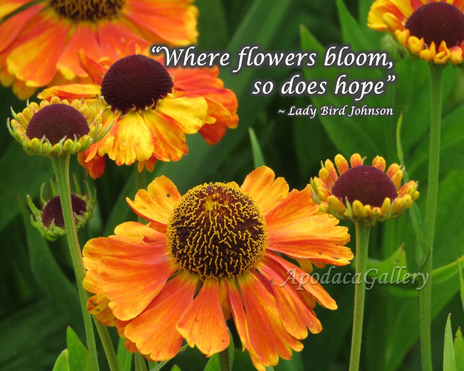 DIGITAL DOWNLOAD Inspirational Words Flower Floral Nature Etsy