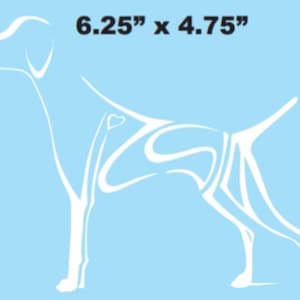 Vizsla Decal, Vizsla Sticker, Dog Sticker, Car Decal, Vinyl Sticker