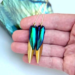 Könnte beinhalten: Ein Paar goldfarbene Ohrringe mit schillernden blau-grünen Akzenten. Die Ohrringe haben ein langes, schlankes Design mit einer goldfarbenen Basis und einem schimmernden, farbenfrohen oberen Teil. Die Ohrringe werden vor einem verschwommenen Hintergrund präsentiert.