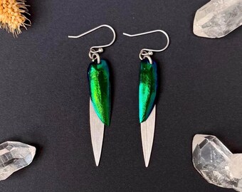 Iridescent Beetle Wing Earrings, Marquise Dangles, Green Blue Elytra, Silver Plated Brass