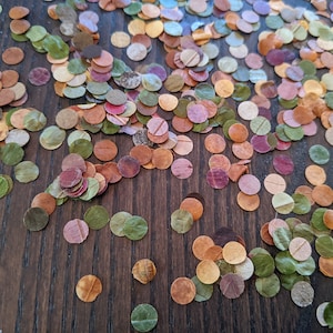 Dried Leaves Confetti