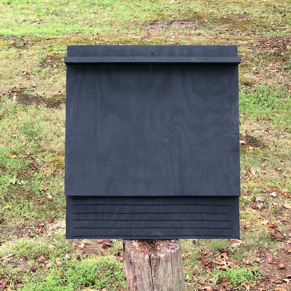 Bat House Kit Etsy