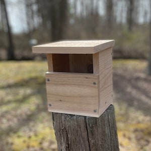 Carolina Wren Nest Box