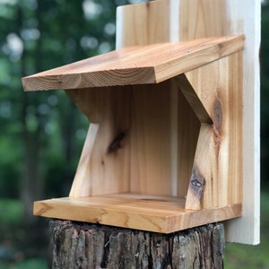 Eastern Phoebe, Barn Swallow & American Robin Nest Shelf