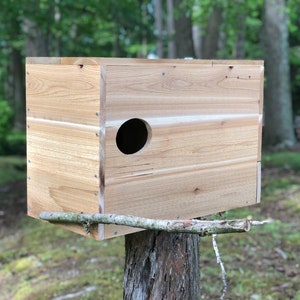 Barn Owl Nest Box