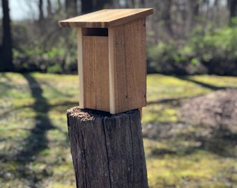 Sparrow Squeeze Inn Birdhouse Kit