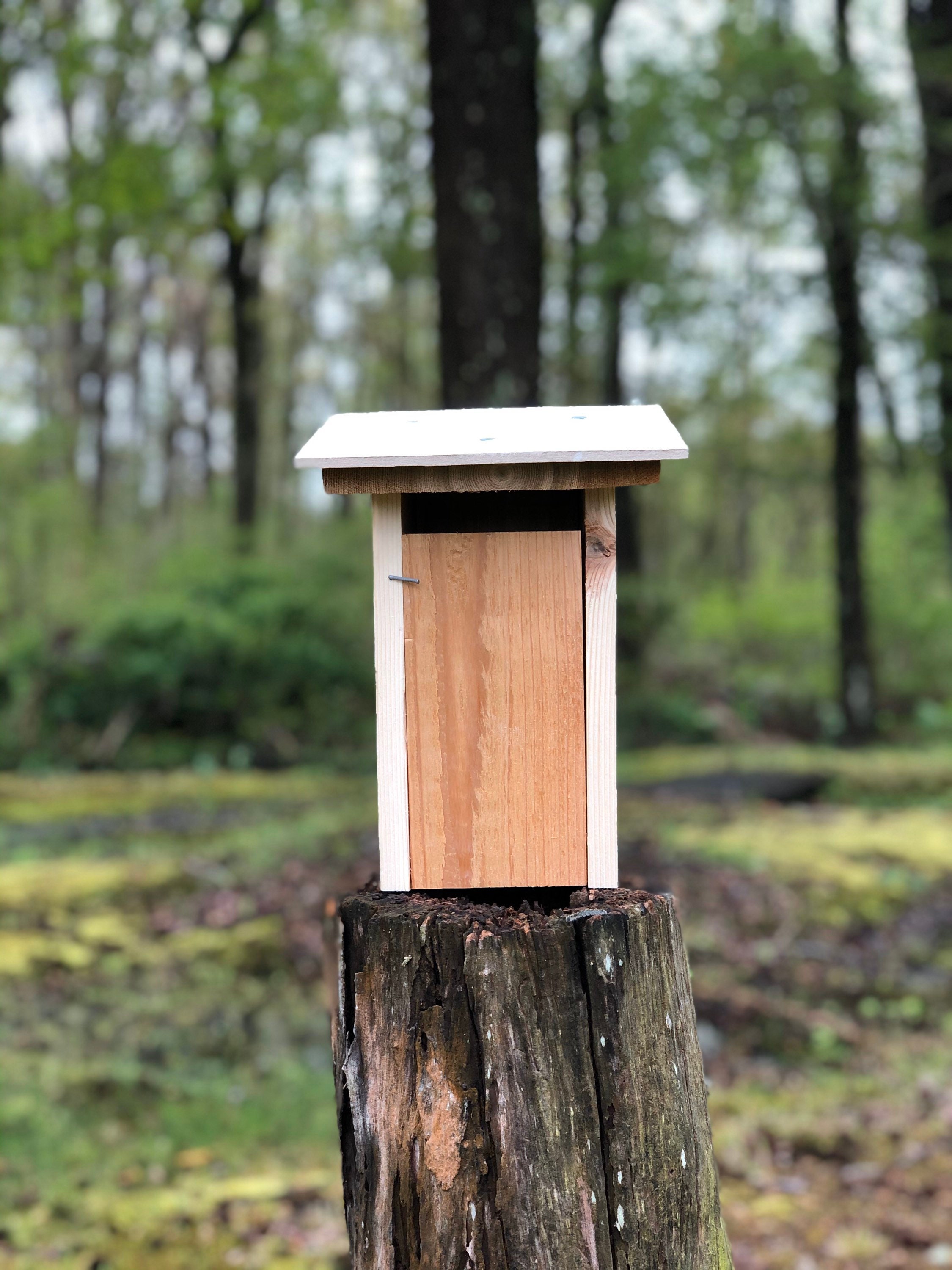 Eastern & Western Bluebird DANDR Slot Birdhouse | Etsy