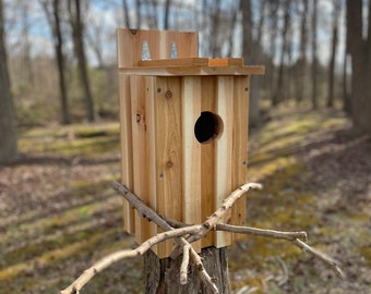 Ready To Assemble: Screech-Owls Nest Box Kit