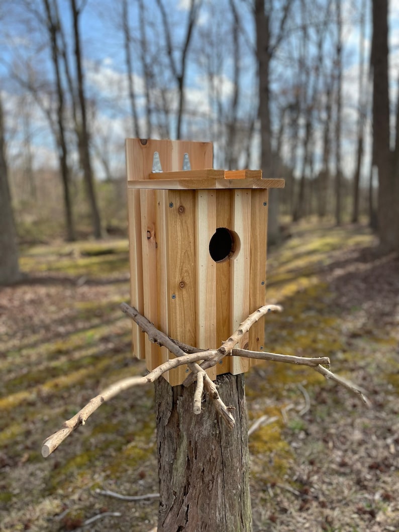 Ready to Assemble Screechowls Nest Box Kit Etsy