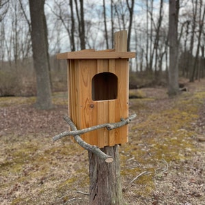 Cedar Barred Owl Nest Box