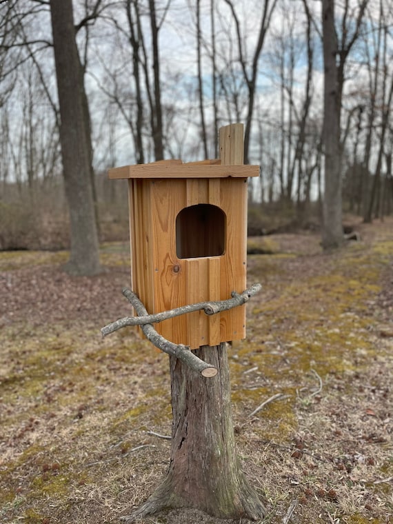 Cedar Barred Owl Nest Box Etsy