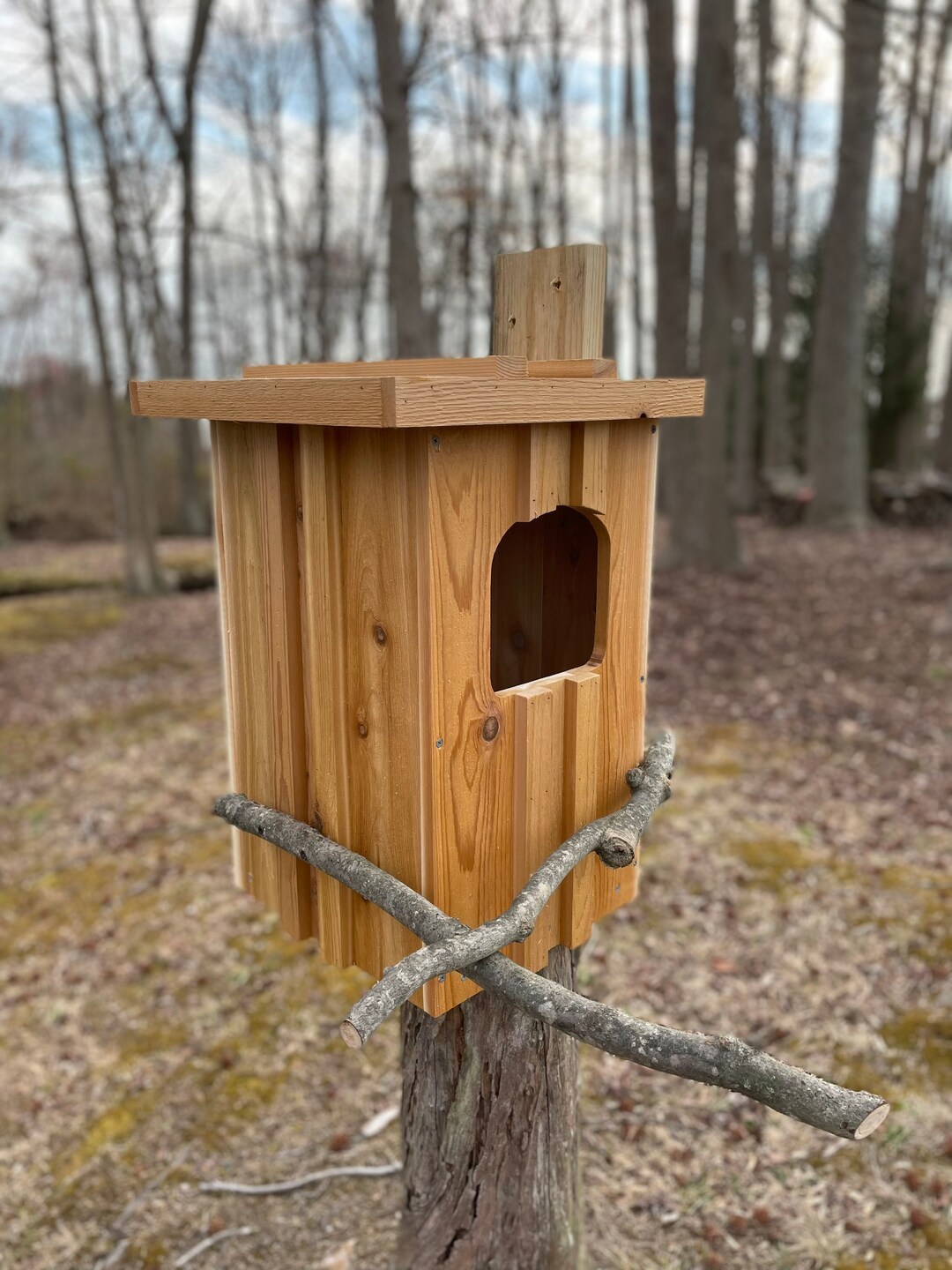 Cedar Barred Owl Nest Box
