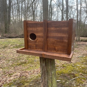 Barn Owl Nest Box with Porch
