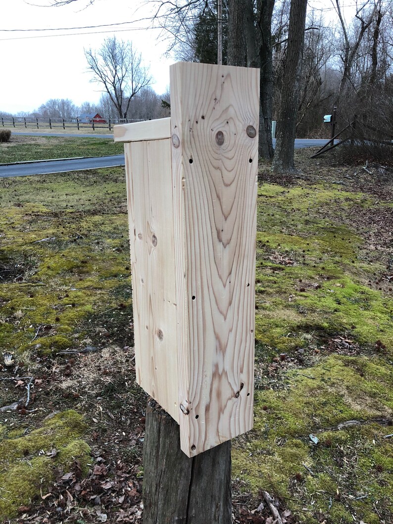 Northern Flicker Nest Box | Etsy