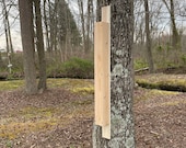 Woodpecker Drumming Bongo