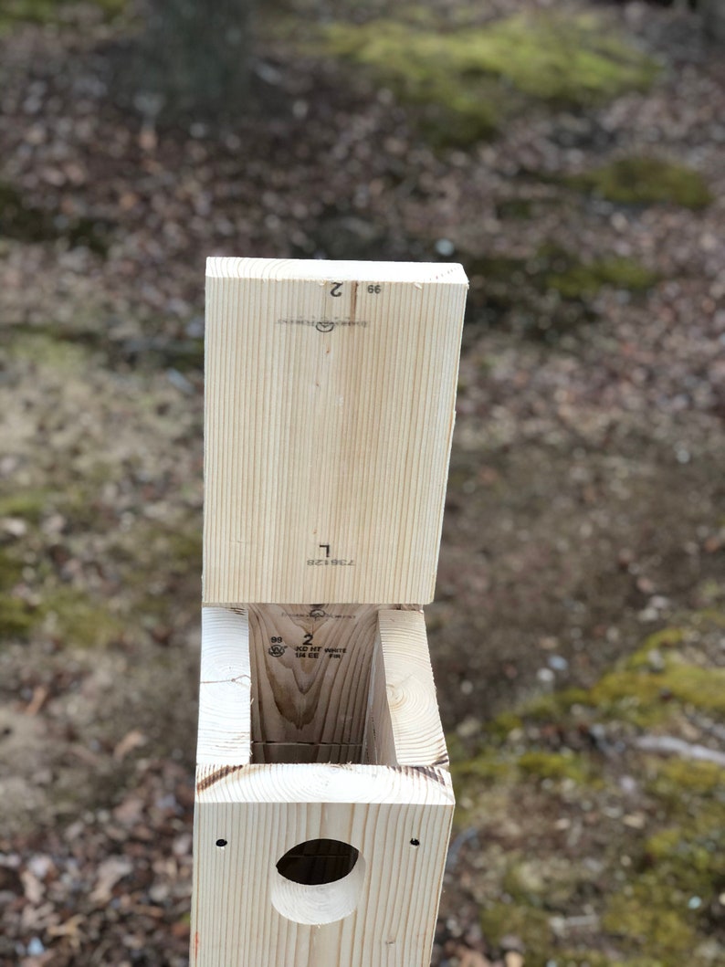 Northern Flicker Nest Box | Etsy