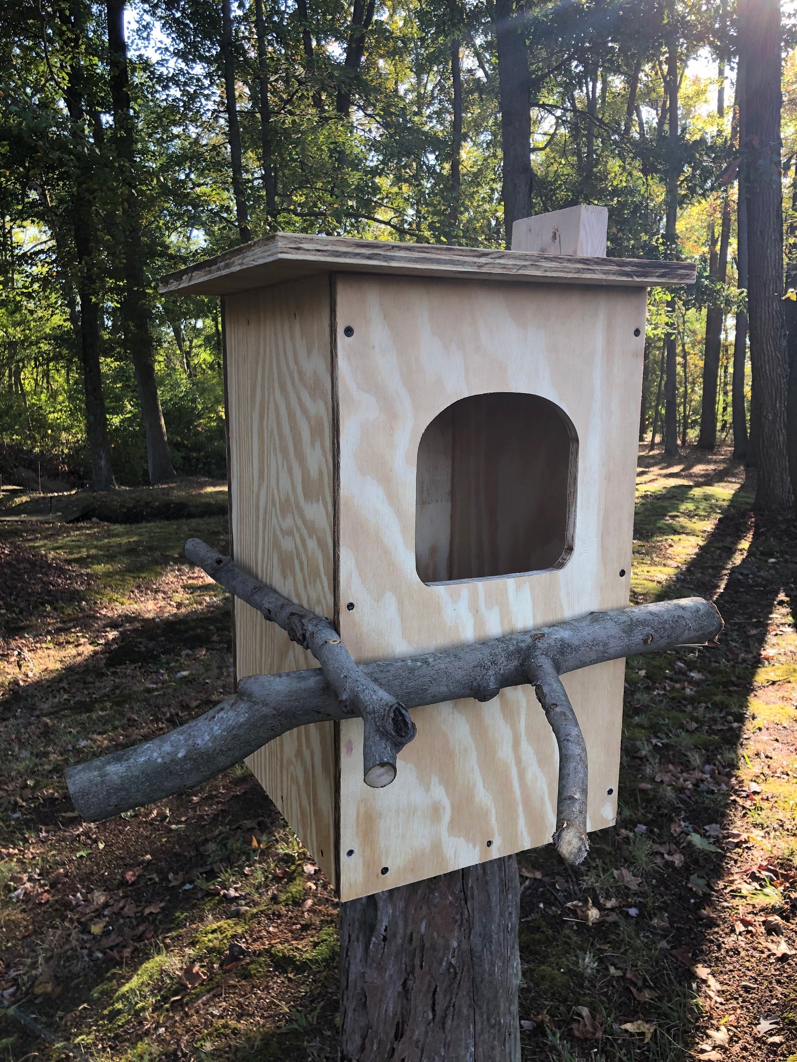 Pine Barred Owl Nest Box Custom Options Available Etsy