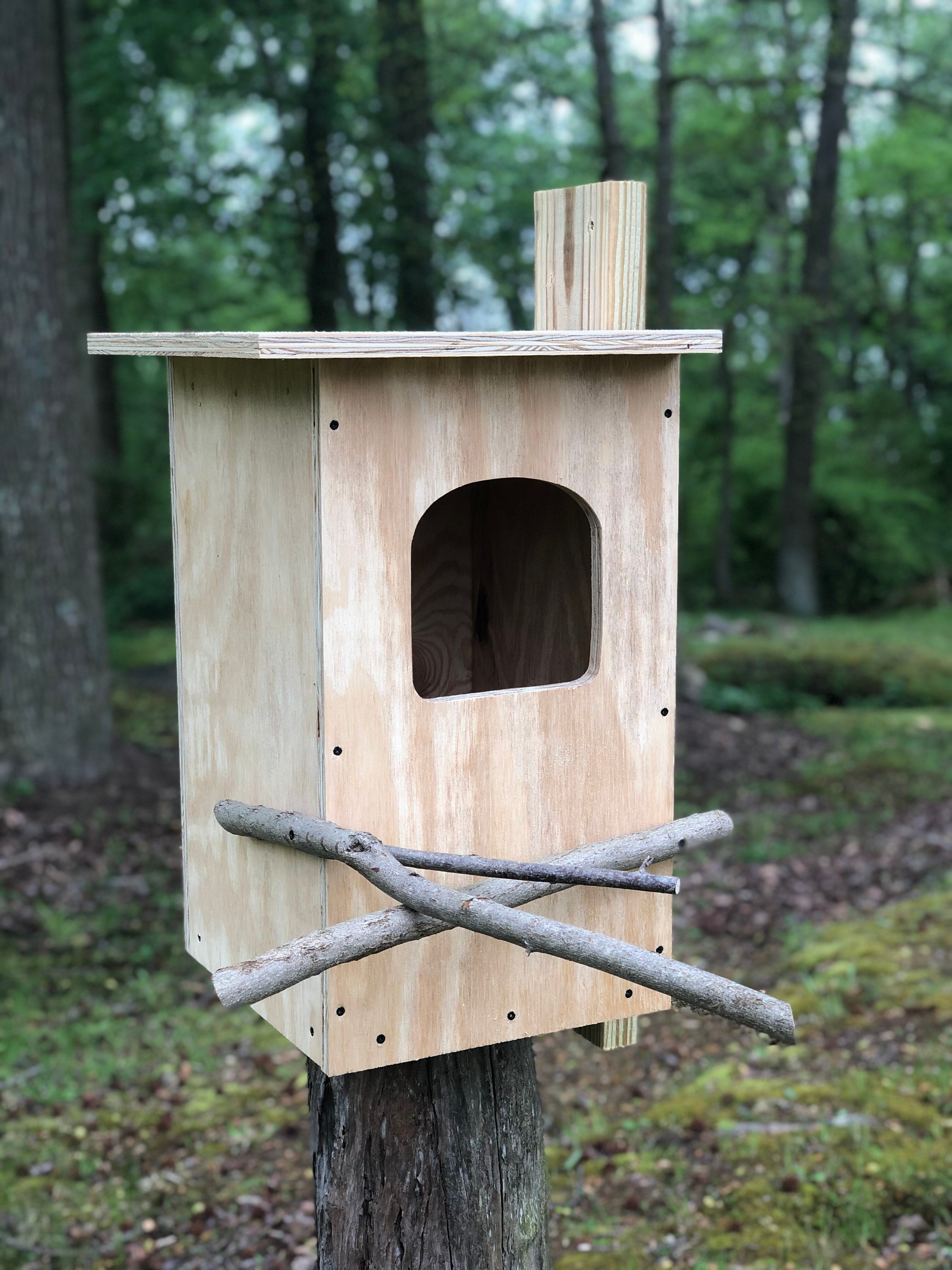 Conservation Barred Owl House Kit Barred Owl Nesting Box Barred Owl 