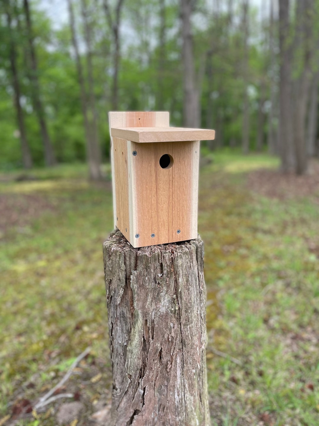 Chickadee Nest Box Etsy