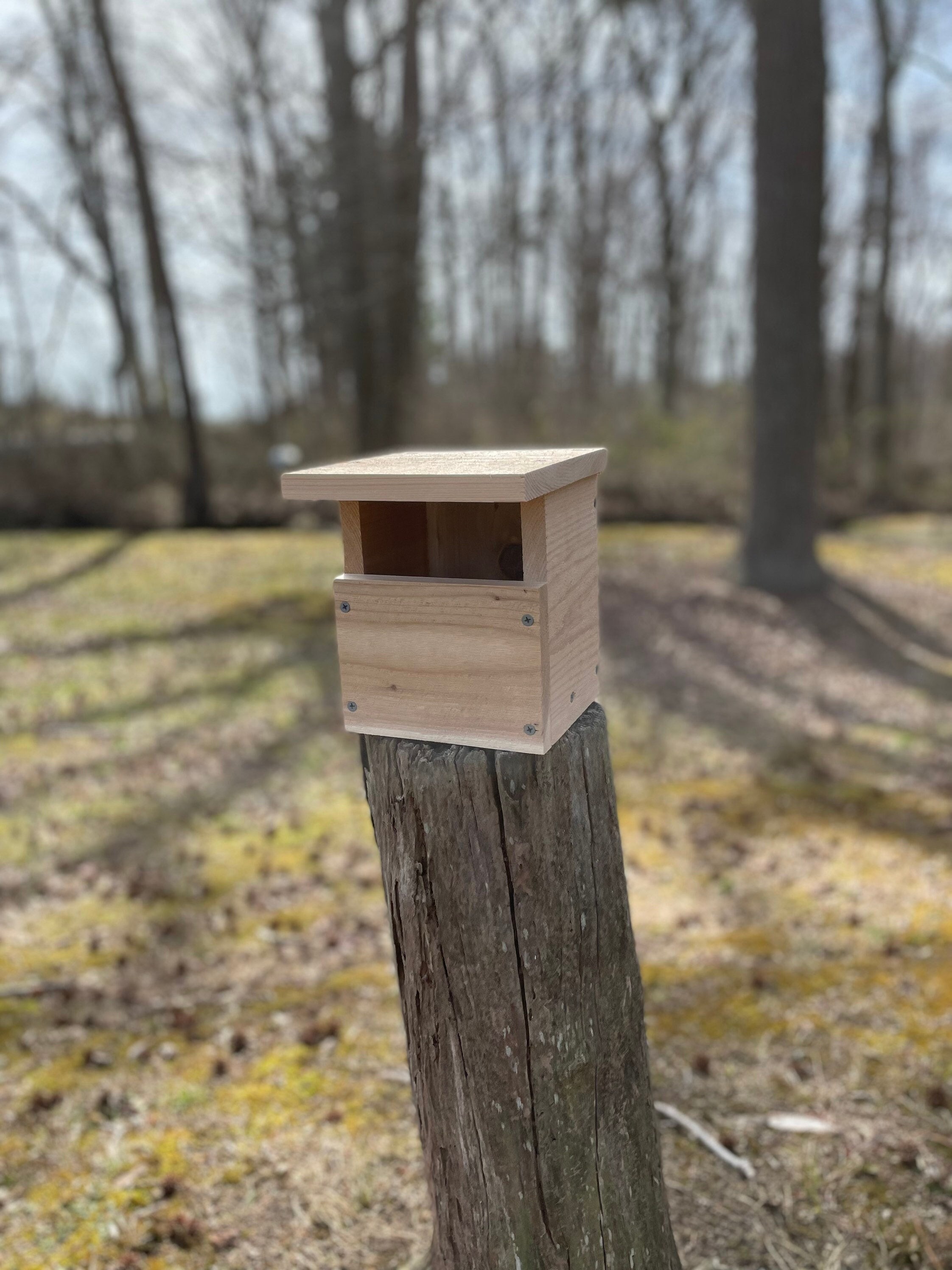 Carolina Wren Nest Box