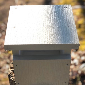 Carolina Wren Nest Box - Etsy
