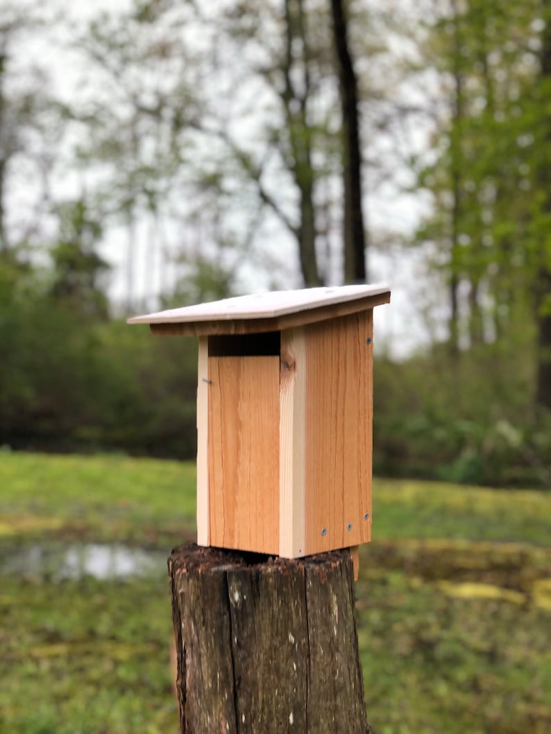 Eastern & Western Bluebird DANDR Slot Birdhouse Etsy