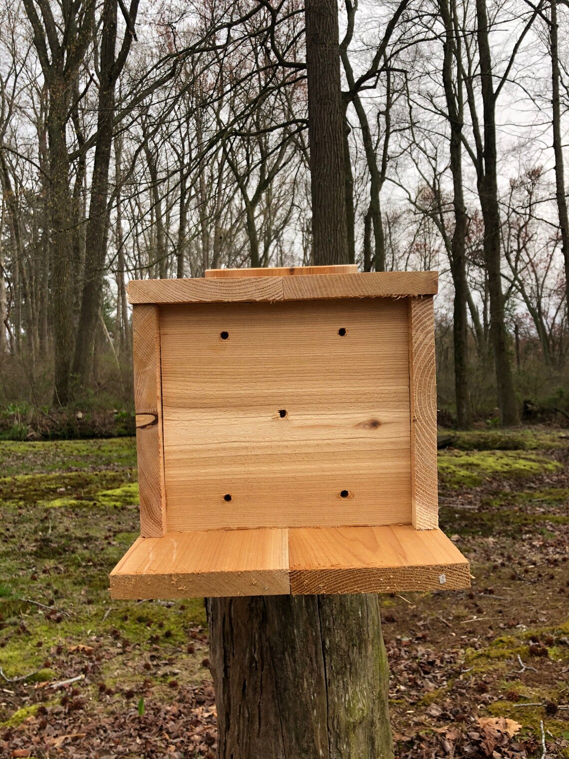 Wood Duck Hooded Merganser Common and Barrows Goldeneyes Etsy