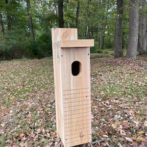 Northern Flicker Nest Box