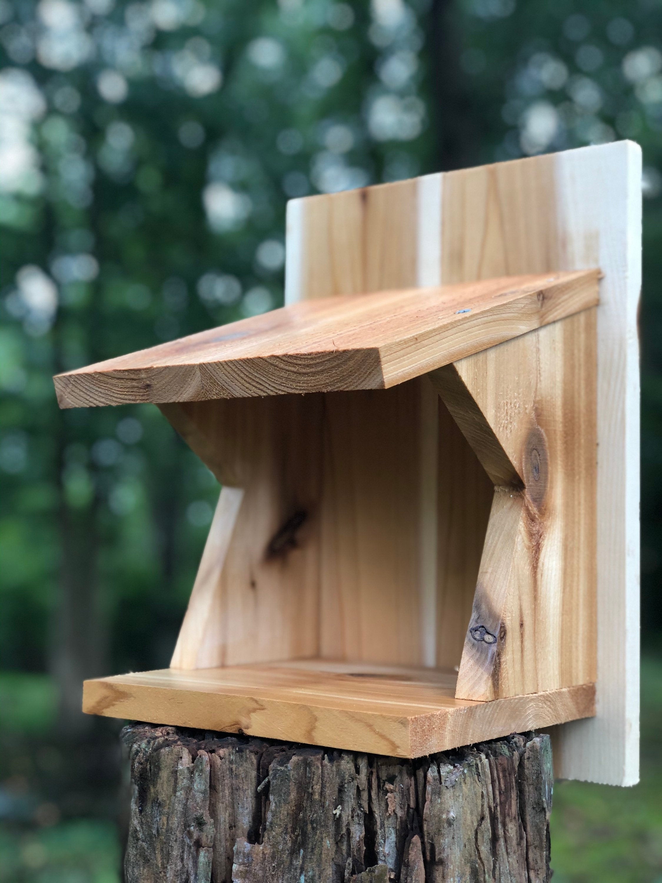 Barn Swallow Nest Box Diy informacionpublica.svet.gob.gt