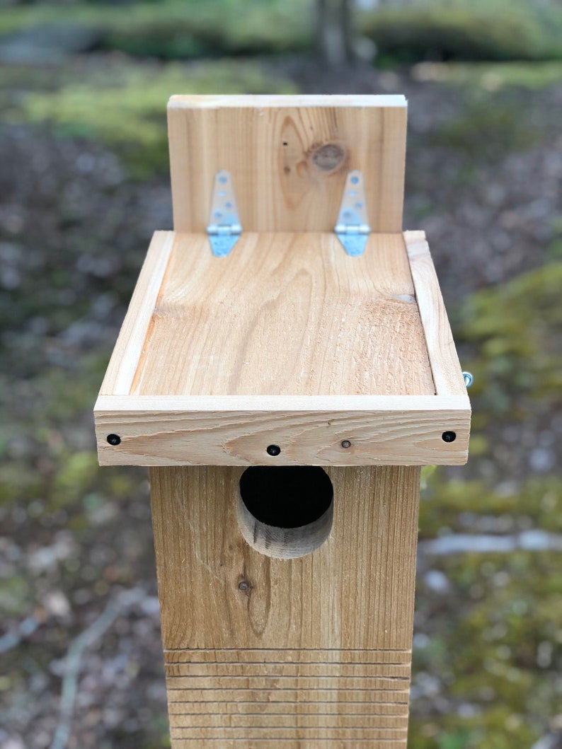 Northern Flicker Nest Box | Etsy